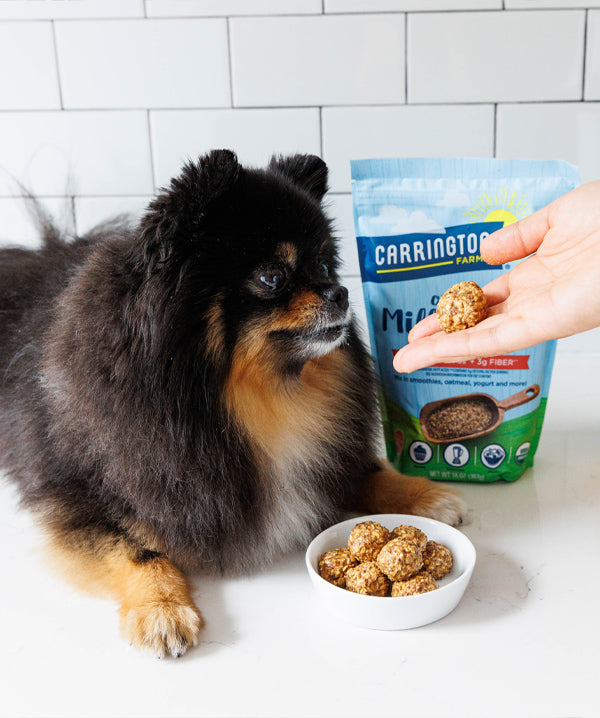 flax seed dog treats