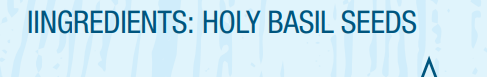 Holy Basil Seeds - 5