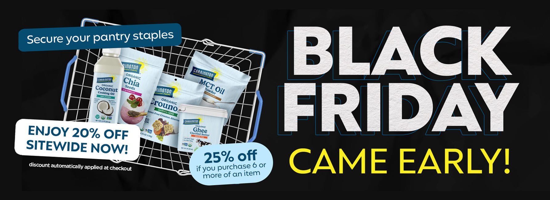 Black friday sale 2025